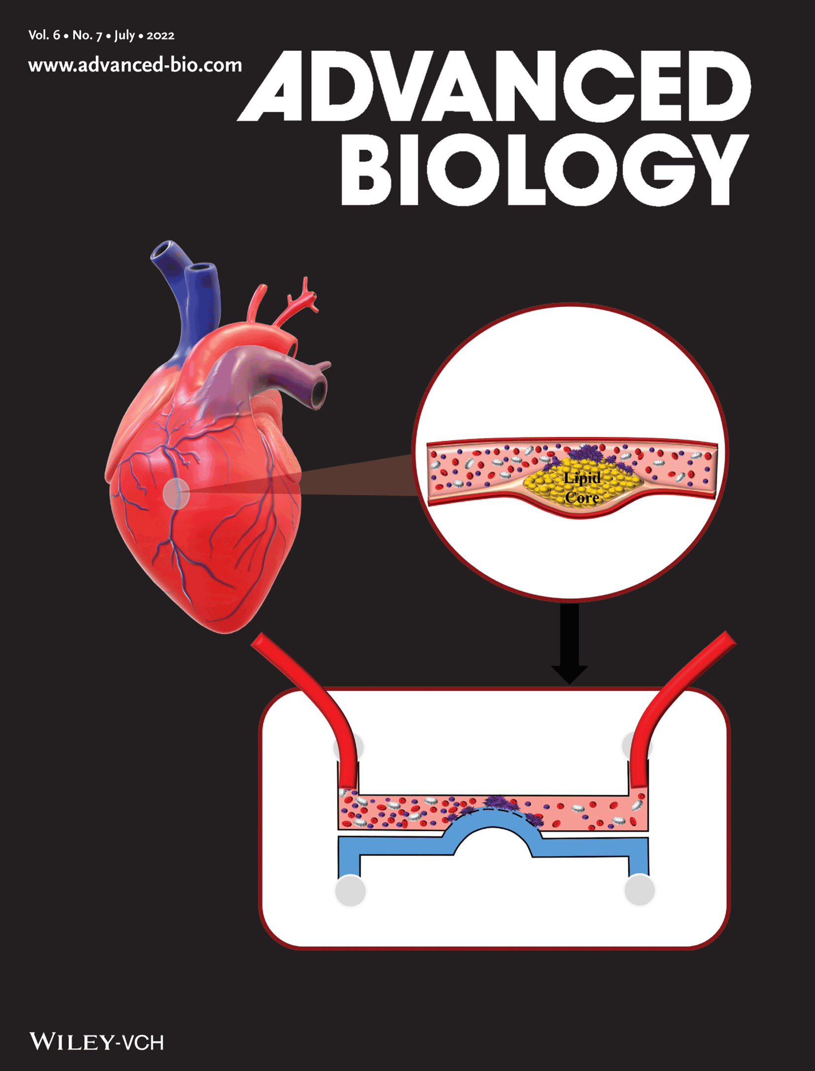 Advanced Biology雜志