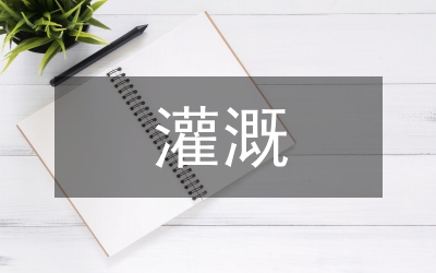 新建灌溉發電隧洞設計分析