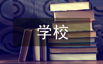 學校團支部書記的述職工作報告