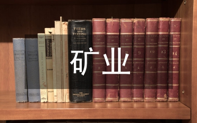 礦業企業資產評估