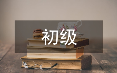 初級會計論文