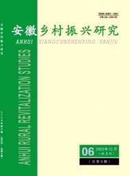 安徽鄉村振興研究