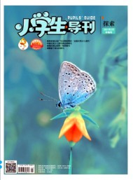 小學生導刊·中年級